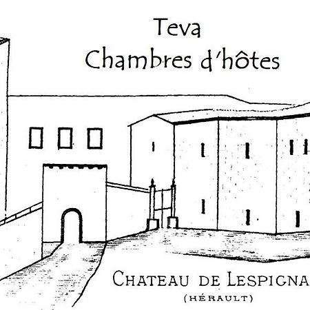 Teva Bed & Breakfast Lespignan Bagian luar foto