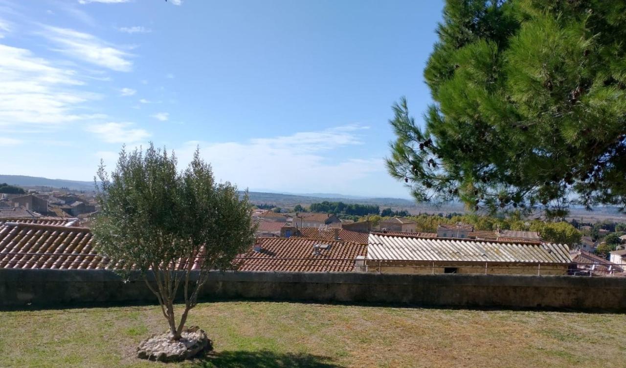 Teva Bed & Breakfast Lespignan Bagian luar foto